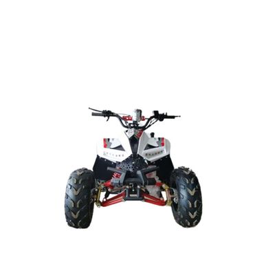 MYTS 80CC Atv quad bike fully automatic offraod Red