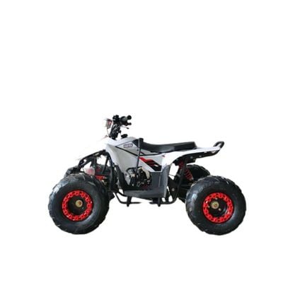 MYTS 80CC Atv quad bike fully automatic offraod Red