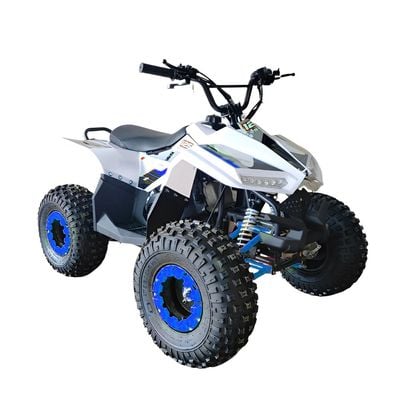 MYTS 80CC Atv quad bike fully automatic offraod Blue