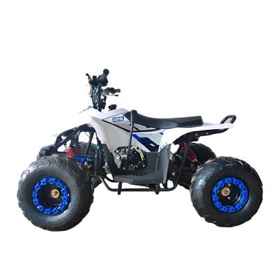 MYTS 80CC Atv quad bike fully automatic offraod Blue