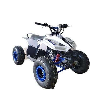 MYTS 80CC Atv quad bike fully automatic offraod Blue