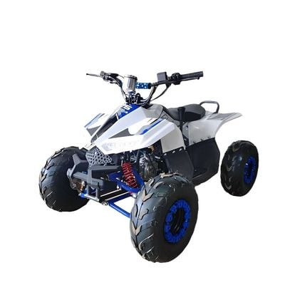 MYTS 80CC Atv quad bike fully automatic offraod Blue