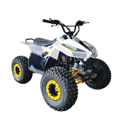 MYTS 80CC Atv quad bike fully automatic offraod Yellow