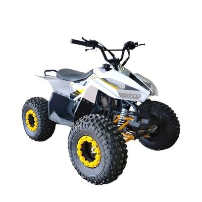 MYTS 80CC Atv quad bike fully automatic offraod Yellow