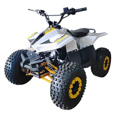 MYTS 80CC Atv quad bike fully automatic offraod Yellow