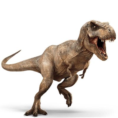 Little Story 6Pcs Simulated Dinosaur With IC Vocalization Toy (Included 2Pcs*AG3 Batteries) - Multicolor