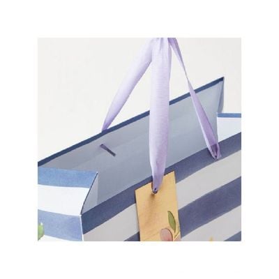 Eurowrap Floral Stripe Bottle Gift Bag