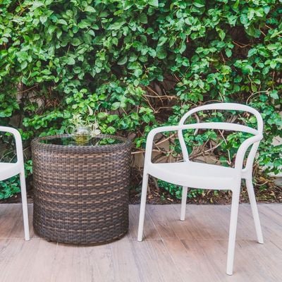 Tramontina Sissi White Polypropylene and Fiberglass Chair With Armrests-White