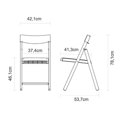 Tramontina Potenza Chair in Brazilian Itauba Wood and Graphite Polypropylene-Wood