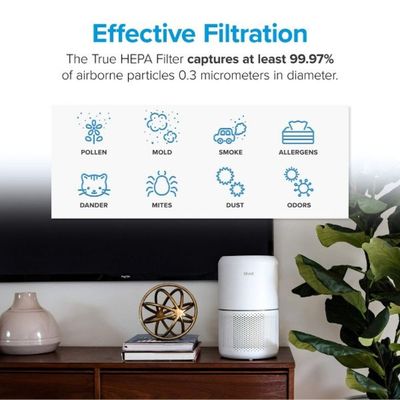 LEVOIT CORE 300 AIR FILTER MOLD N BACTERIA