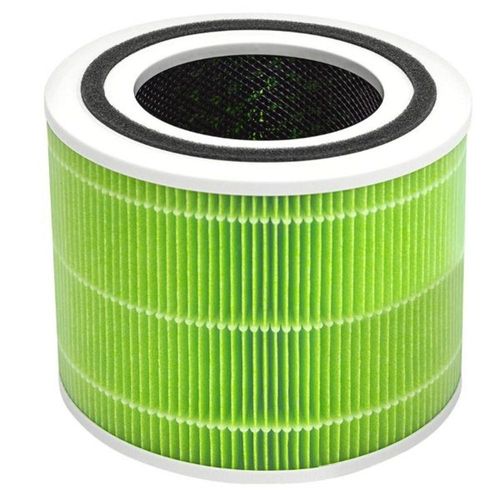 LEVOIT CORE 300 AIR FILTER MOLD N BACTERIA