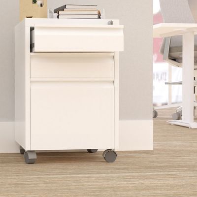 Godrej OEM 2 Drawer Mobile Storage Unit - White