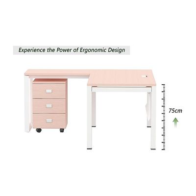 Figura 72-14L Oak Modern Workstation