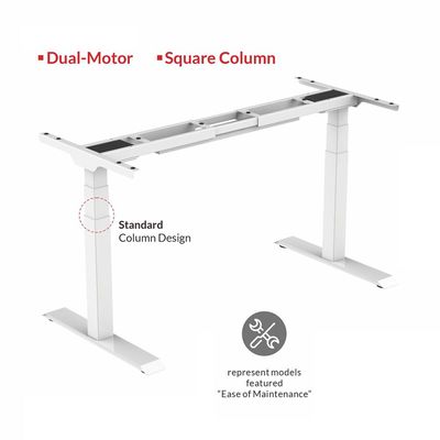 Flexispot Standing Desk Dual Motor 3 Stages Electric Stand Up Desk 160cmx75cm Height Adjustable Desk Home Office Desk White Frame + Apple Cherry Desktop