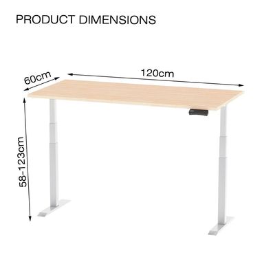 Mahmayi Flexispot Standing Desk Dual Motor 3 Stages Electric Stand Up Desk 120cmx60cm Height Adjustable Desk Home Office Desk White Frame - Oak