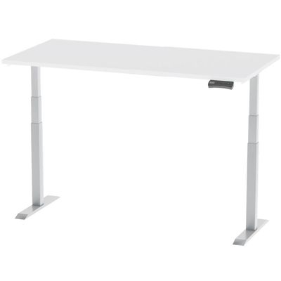 Mahmayi Flexispot Standing Desk Dual Motor 3 Stages Electric Stand Up Desk 120cmx60cm Height Adjustable Desk Home Office Desk White Frame - White