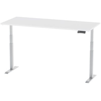 Mahmayi Flexispot Standing Desk Dual Motor 3 Stages Electric Stand Up Desk 140cmx80cm Height Adjustable Desk Home Office Desk White Frame - White