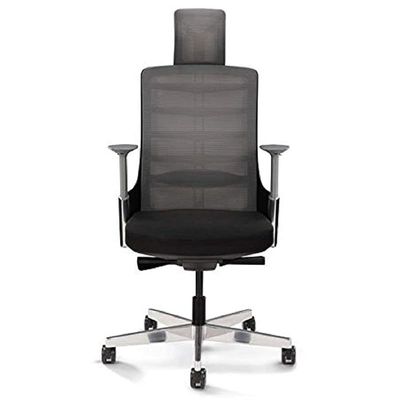 Spinelly High Back Ergonomic Mesh Chair Black