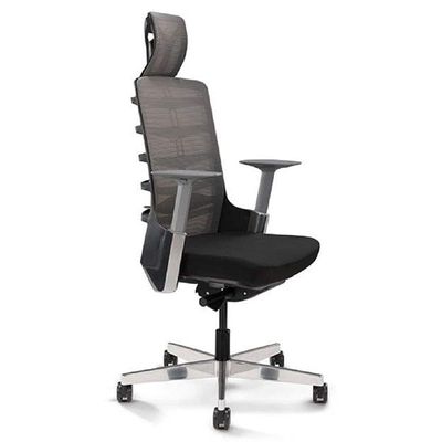 Spinelly High Back Ergonomic Mesh Chair Black