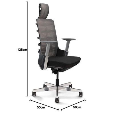 Spinelly High Back Ergonomic Mesh Chair Black