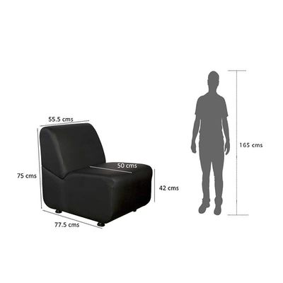 Mahmayi Coco Single-Seater Black Sofa - Customizable, Premium Quality, Living Room Furniture, Comfortable Seating (1-Seater, Black)