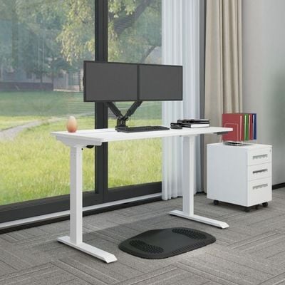 Flexispot Electric Height Adjustable Standing Desk, 48" Sit Stand Up Computer Desk Workstation for Home Office (White Frame/White Desktop, 48 x 24 inch) by Mahmayi