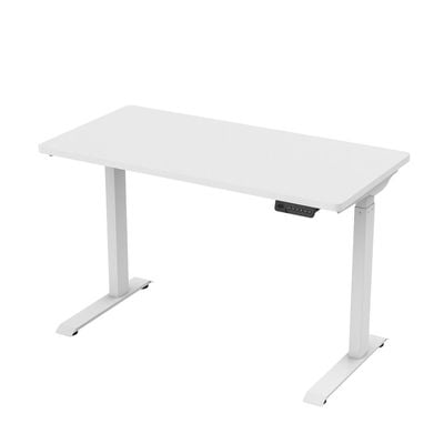 Flexispot Electric Height Adjustable Standing Desk, 48" Sit Stand Up Computer Desk Workstation for Home Office (White Frame/White Desktop, 48 x 24 inch) by Mahmayi