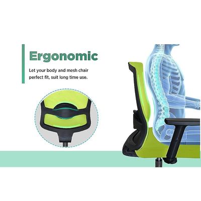 Ergonomic Adjustable Office Chair with Adjustable Arm Rests, Lumbar Support, Contoured Back, and Seat Cushion - Comfortable Seating Solution for Office and Home - Ergonomic Green Medium Back