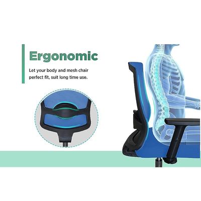 Ergonomic Adjustable Office Chair with Adjustable Arm Rests, Lumbar Support, Contoured Back, and Seat Cushion - Comfortable Seating Solution for Office and Home - Ergonomic Blue Medium Back