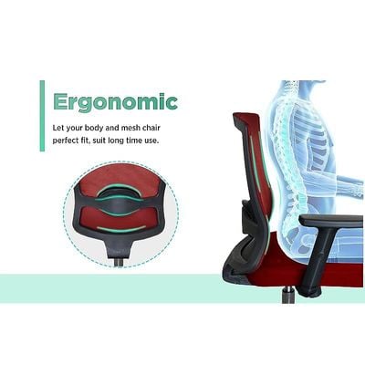 Ergonomic Adjustable Office Chair with Adjustable Arm Rests, Lumbar Support, Contoured Back, and Seat Cushion - Comfortable Seating Solution for Office and Home - Ergonomic Red Medium Back