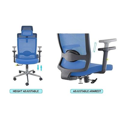 Ergonomic Adjustable Office Chair with Adjustable Arm Rests, Lumbar Support, Contoured Back, and Seat Cushion - Comfortable Seating Solution for Office and Home - Ergonomic Blue Contoured Back