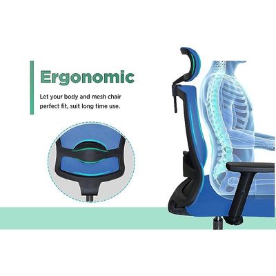 Ergonomic Adjustable Office Chair with Adjustable Arm Rests, Lumbar Support, Contoured Back, and Seat Cushion - Comfortable Seating Solution for Office and Home - Ergonomic Blue Contoured Back