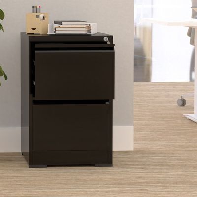 Mahmayi Godrej OEM 2 Drawer Steel Filing Cabinet in Black - Office Storage Organizer for Documents, Files, and Supplies