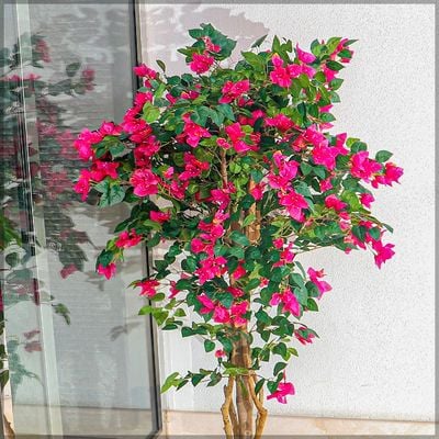 Yatai Artificial Bougainvillea Plant 1.6 Meters High