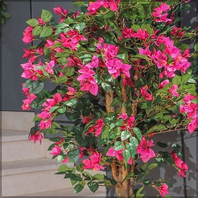 Yatai Artificial Bougainvillea Plant 1.6 Meters High