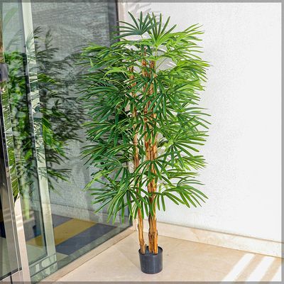 Artificial Raphis Palm Plant About 1.8 Meter High
