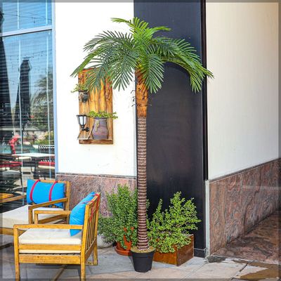 Artificial Plants & Fence