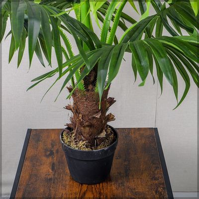 Yatai Artificial Palm Plant About 90cm high