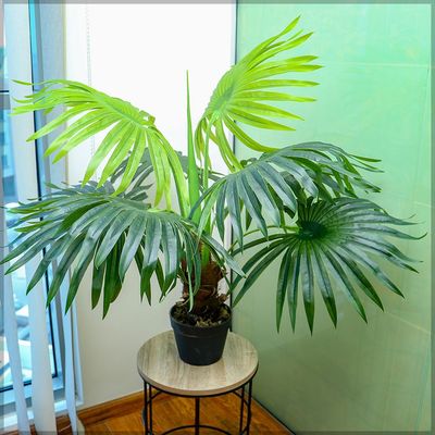 Artificial Plants & Fence