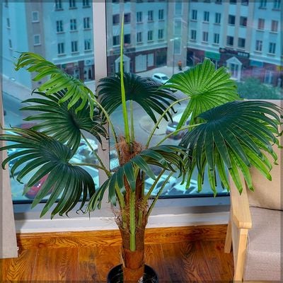 Yatai Artificial Palm Tree - Artificial Palm Plants With Plastic Pot