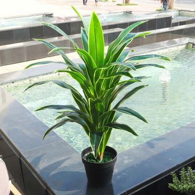 Yatai Artificial Brazil Plant About 1.2 Meters