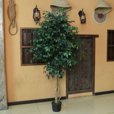 Yatai Artificial Fake Ficus Simulation 2.3 Meters High