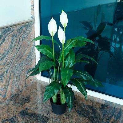 Yatai Artificial White Calla Lily Flowers Plant