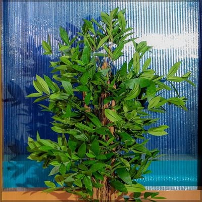 Yatai Artificial Laurus Nobili Plant 1.5 Meter High