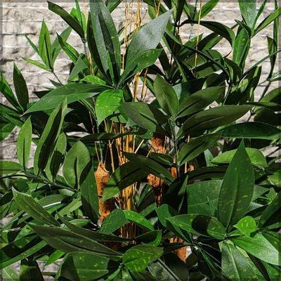 Yatai Artificial Laurus Nobili Plant 1 Meter High