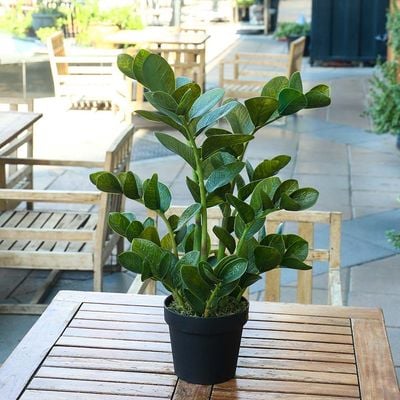 Yatai Artificial Zamioculcas Plant 75CM