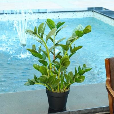 Yatai Artificial Zamioculcas Plant 75CM