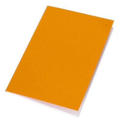 حزمة من 12 قطعة - محايدة للبيئة - دفتر Vinica A5 - برتقالي