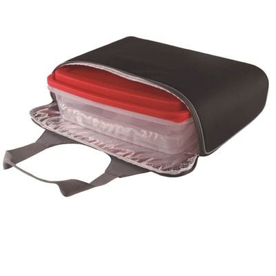 Santhome - Picfud Picnic Food Carrier