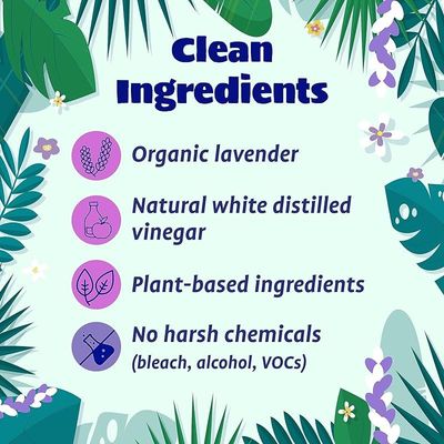 Organic Lavender Hand Soap - 470ml | Alcohol-Free, All-Natural, Pet & Baby-Safe